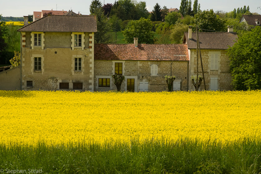 NIKON D200 - 18.0-70.0 mm f/3.5-4.5