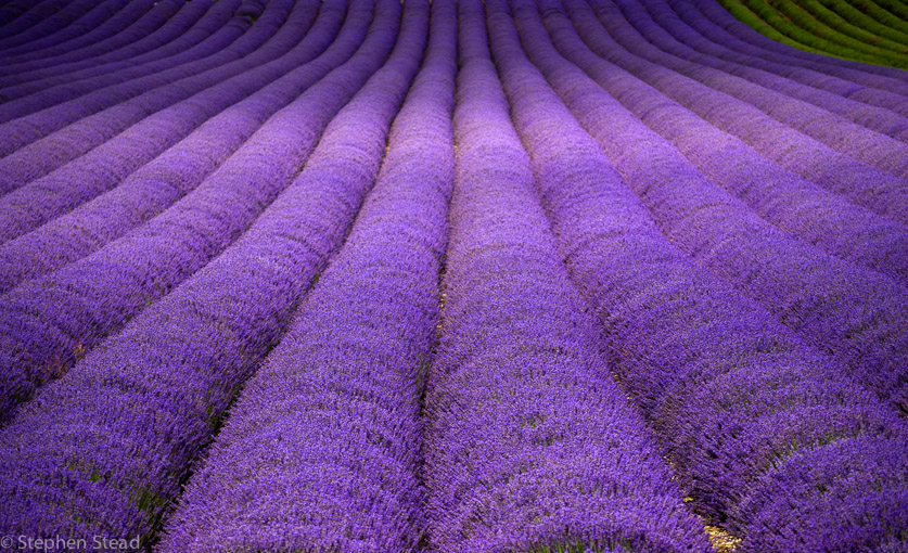 NIKON D200 - 55.0-200.0 mm f/4.0-5.6