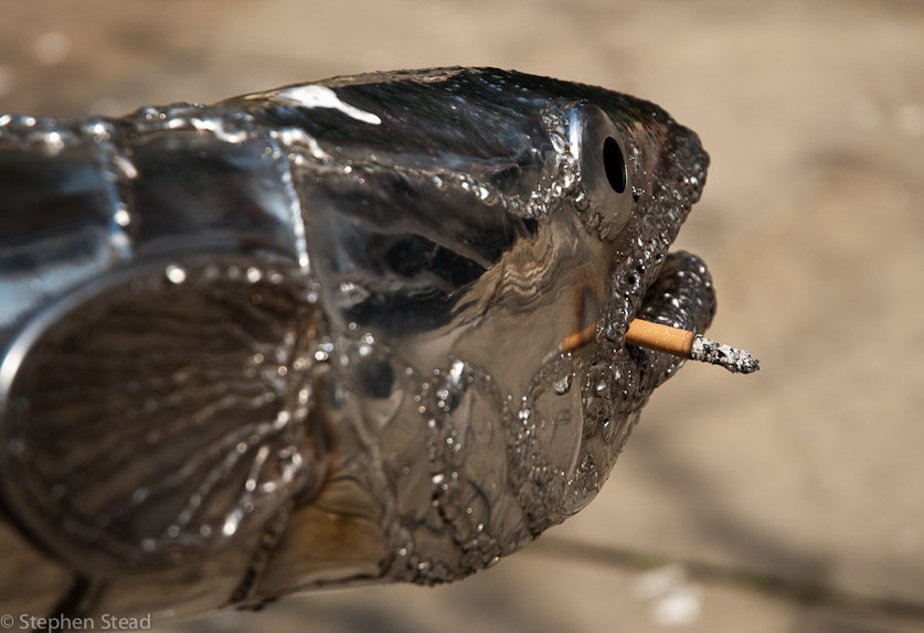 NIKON D200 - 18.0-70.0 mm f/3.5-4.5