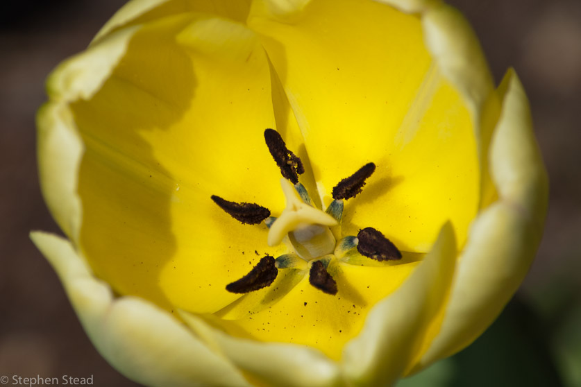 NIKON D200 - 55.0-300.0 mm f/4.5-5.6