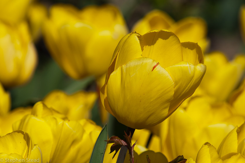 NIKON D200 - 55.0-300.0 mm f/4.5-5.6