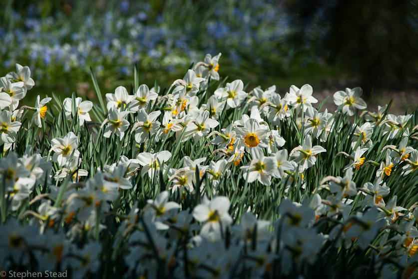 NIKON D200 - 55.0-300.0 mm f/4.5-5.6