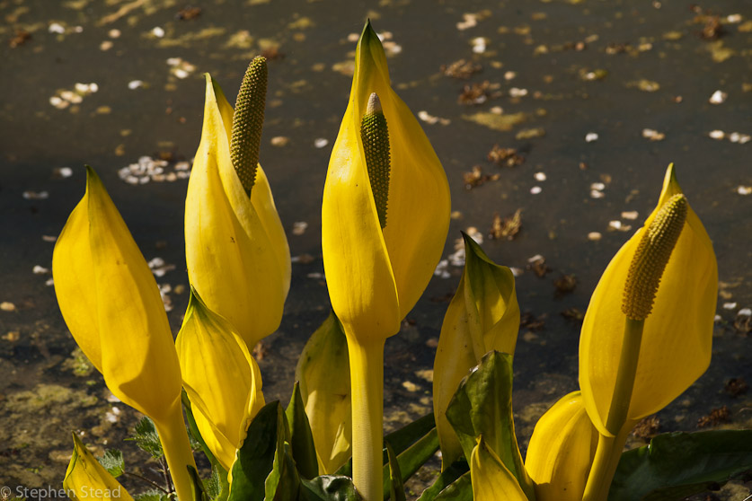 NIKON D200 - 55.0-300.0 mm f/4.5-5.6