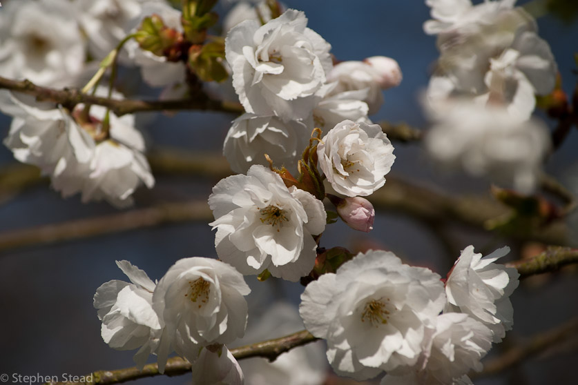 NIKON D200 - 55.0-300.0 mm f/4.5-5.6