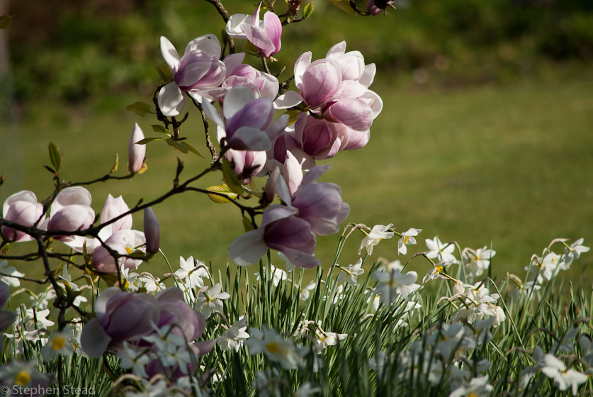 NIKON D200 - 55.0-300.0 mm f/4.5-5.6