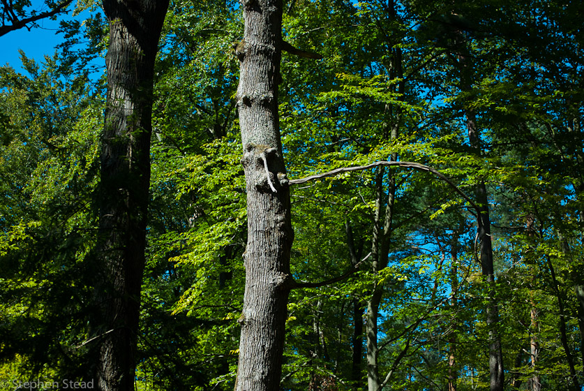 NIKON D200 - 55.0-200.0 mm f/4.0-5.6