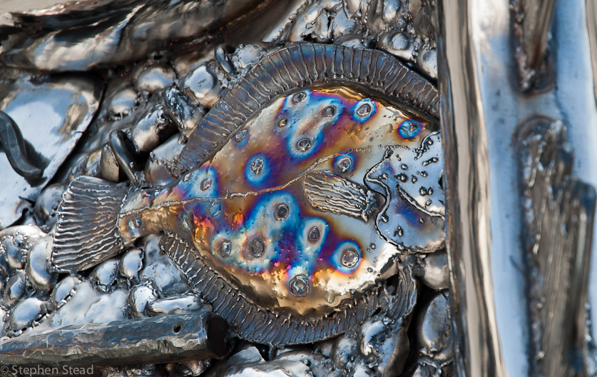 NIKON D200 - 18.0-70.0 mm f/3.5-4.5