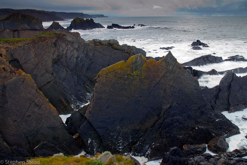 NIKON D200 - 18.0-70.0 mm f/3.5-4.5