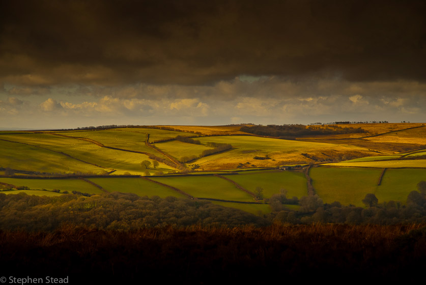 NIKON D200 - 18.0-70.0 mm f/3.5-4.5