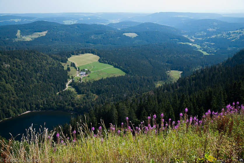 NIKON D200 - 18.0-70.0 mm f/3.5-4.5