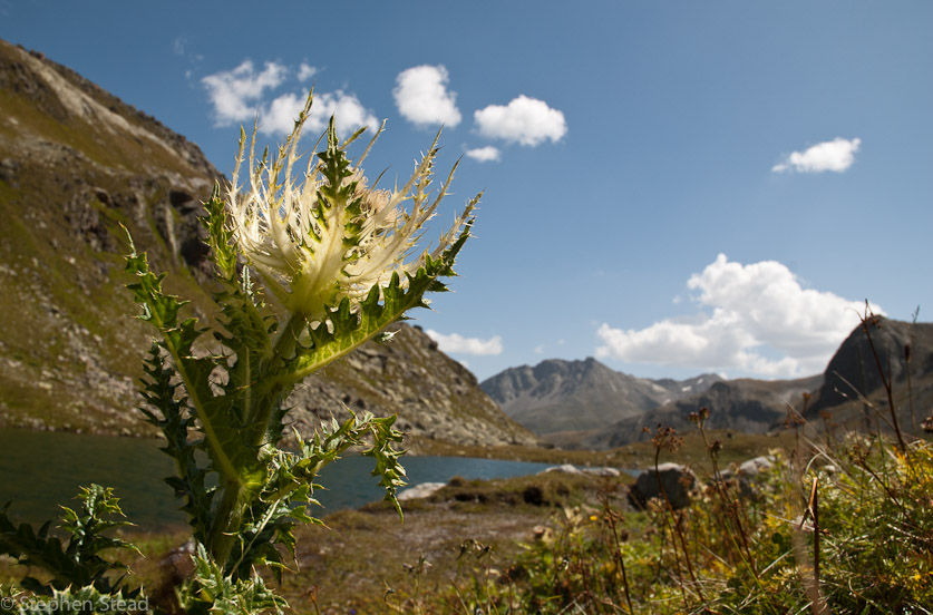 NIKON D200 - 18.0-70.0 mm f/3.5-4.5