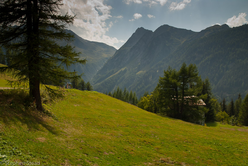 NIKON D200 - 18.0-70.0 mm f/3.5-4.5