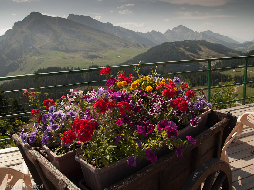 NIKON D200 - 18.0-70.0 mm f/3.5-4.5