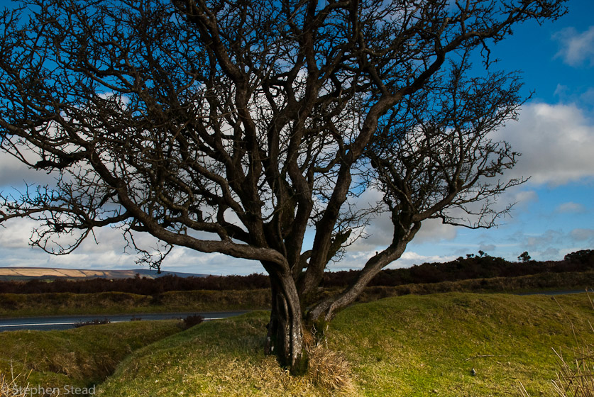 NIKON D200 - 18.0-70.0 mm f/3.5-4.5