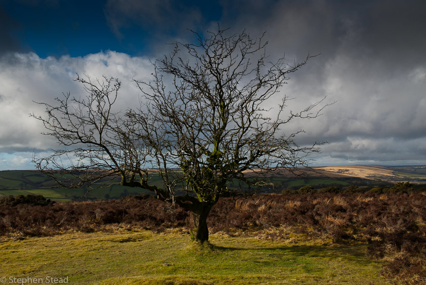 NIKON D200 - 18.0-70.0 mm f/3.5-4.5