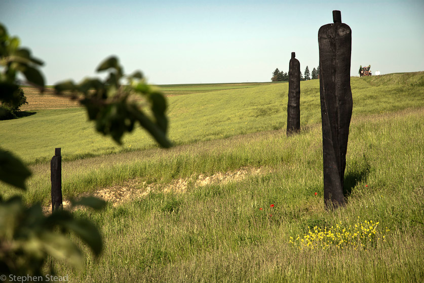 NIKON D200 - 18.0-70.0 mm f/3.5-4.5