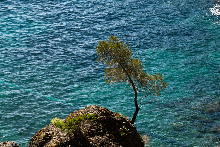 NIKON D200 - 55.0-300.0 mm f/4.5-5.6