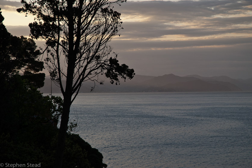 NIKON D200 - 18.0-70.0 mm f/3.5-4.5