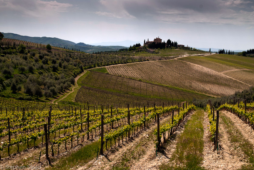 NIKON D200 - 18.0-70.0 mm f/3.5-4.5