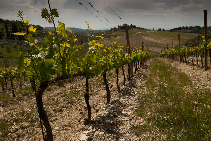 NIKON D200 - 18.0-70.0 mm f/3.5-4.5